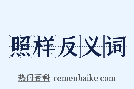照样反义词是什么意思的图片